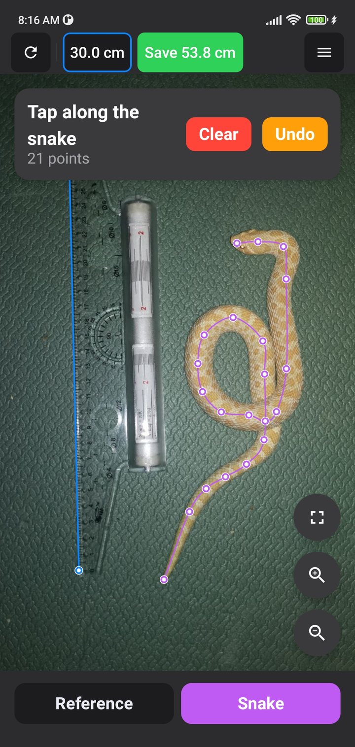 Snake Measurer app tracing a snake's length from a photo next to a reference ruler